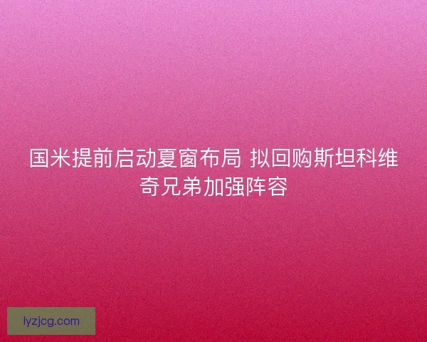国米提前启动夏窗布局 拟回购斯坦科维奇兄弟加强阵容